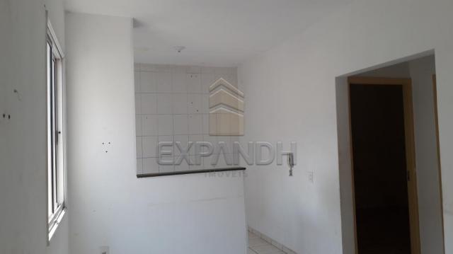 Apartamento para alugar com 2 dormitórios em Jardim santa marta, Sertaozinho cod:L6557 - Foto 9