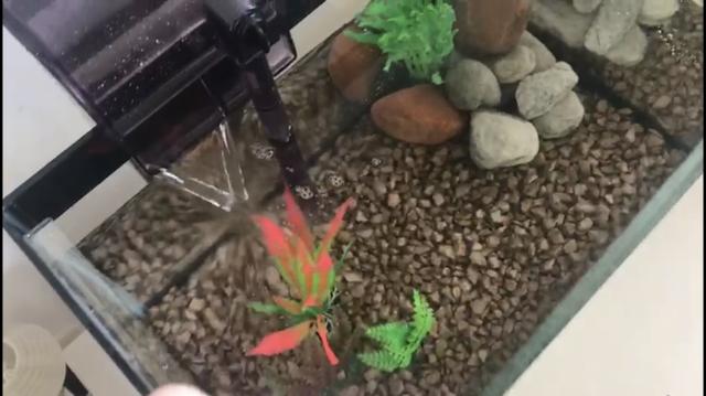 Aquário pronto para usar! Ideal para peixe Betta. Inclui filtro e acessórios - Foto 5