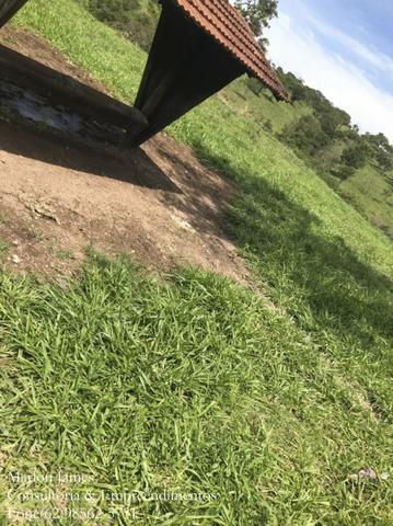 Fazenda em Niquelandia! - Foto 14