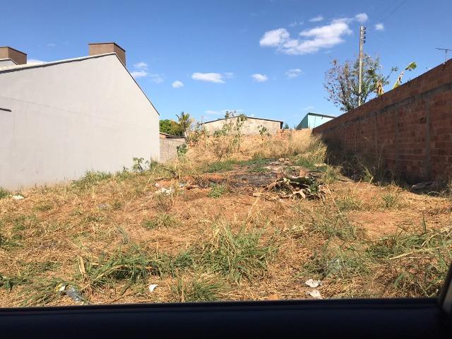 Vários Lotes de 250 a 467 m² - Foto 12