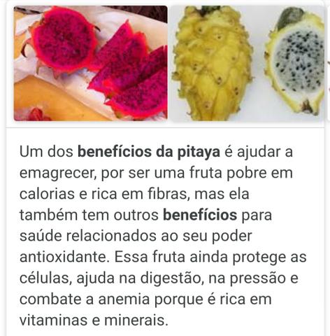 Ainda temos pitayas para vende
