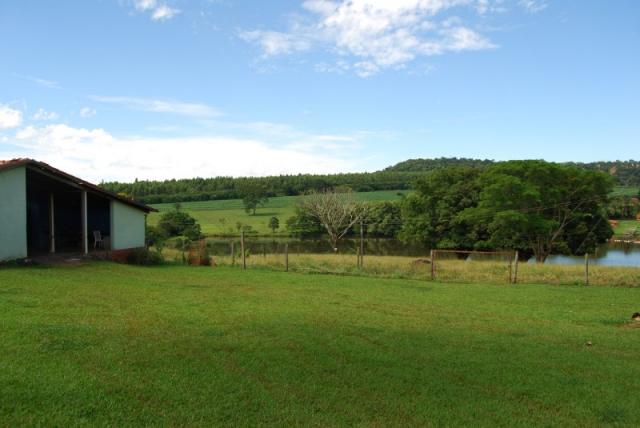 Fazenda com 12 alqueires em Terezópolis-GO - Foto 7
