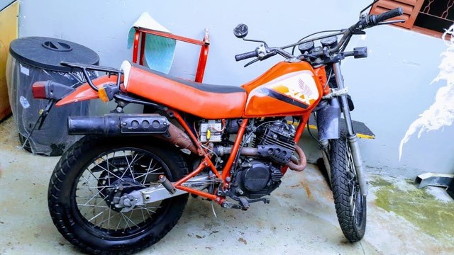 XLX 250 88
