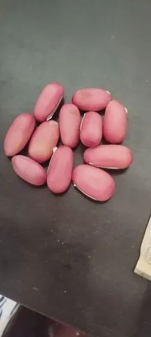 6 Sementes Feijão Rosa Exótico/espada!!maior Do Mundo!