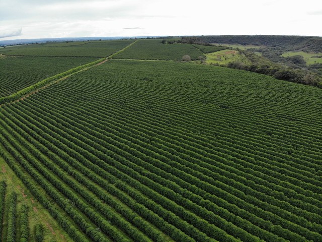 FAZENDA COM 390HEC PRA CAFÉ, BEBIDA DE QUALIDADE!! - Foto 2
