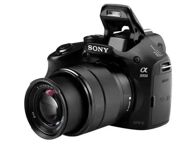 ilce 3000 sony