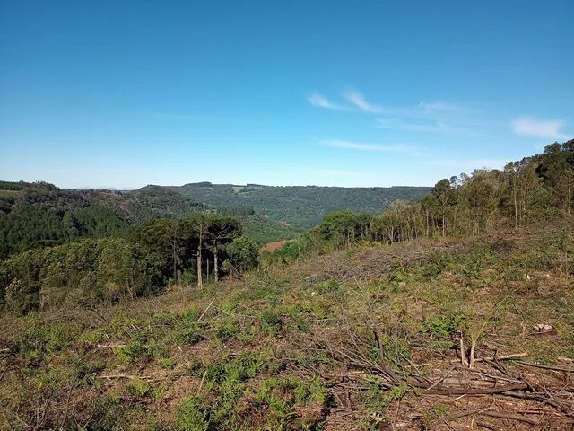 Sítio 3.2 hectares em Gramado - Foto 2