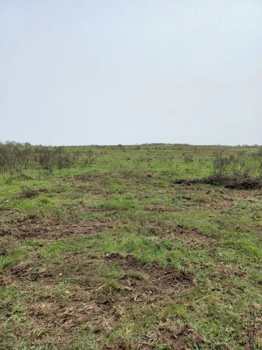 Chácara Faz. Ilhéus 2,0 Ha - Foto 10