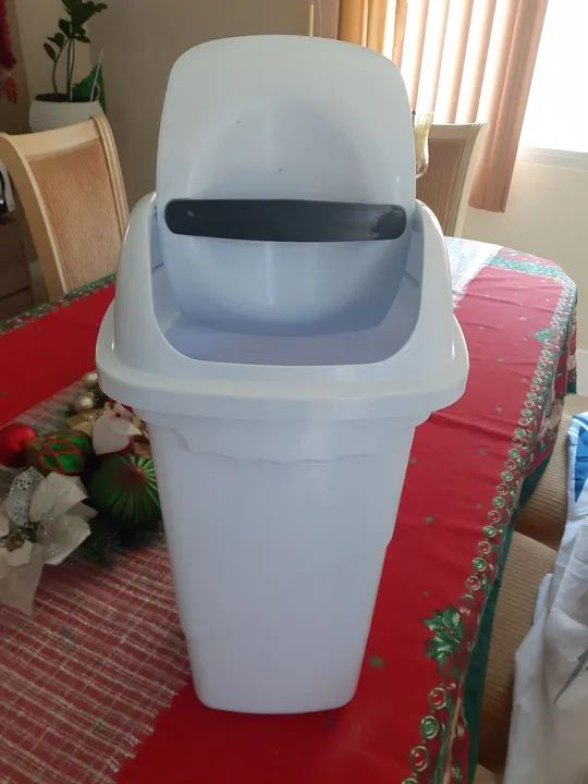 Licheira branca - Foto 2