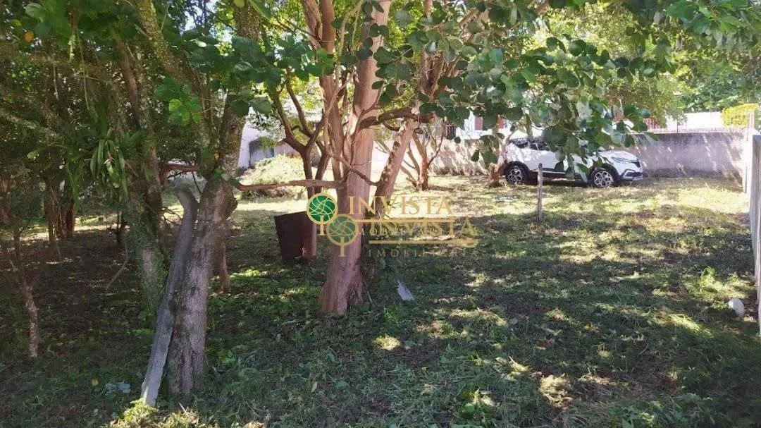 Terreno com 430 m² à venda próximo à UFSC, em Florianópolis. - Foto 5