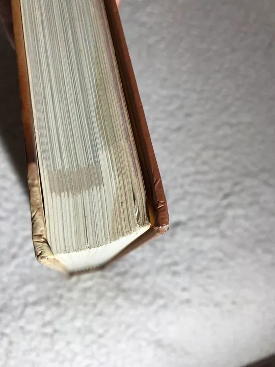 Livro Larousse Do Cão E Do Cãozinho  - Foto 5