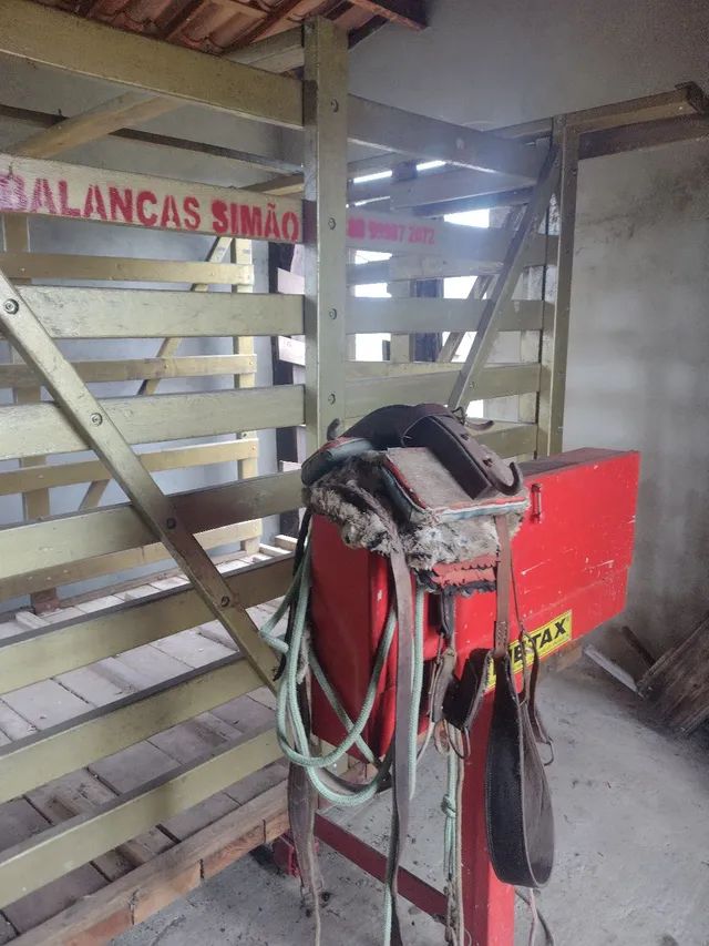 Vendo Fazenda 500 hectares no Quixadá. - Foto 7