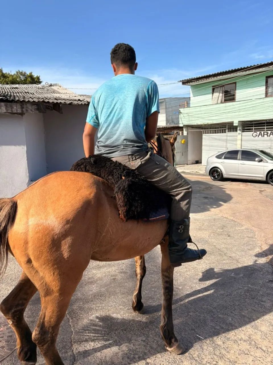 Égua crioula domada - Foto 4