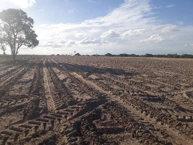 Fazenda com 190 hectares entre lagoa de pedras e Serrinha - Foto 2