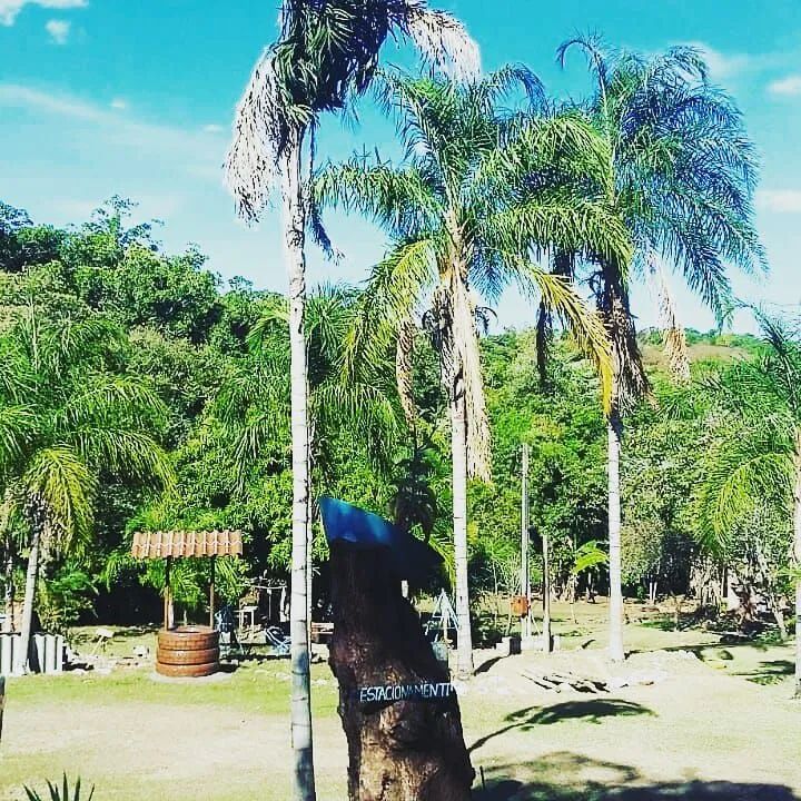 Linda Chácara ABUNDANTE EM NASCENTES D'ÁGUA!  - Foto 7