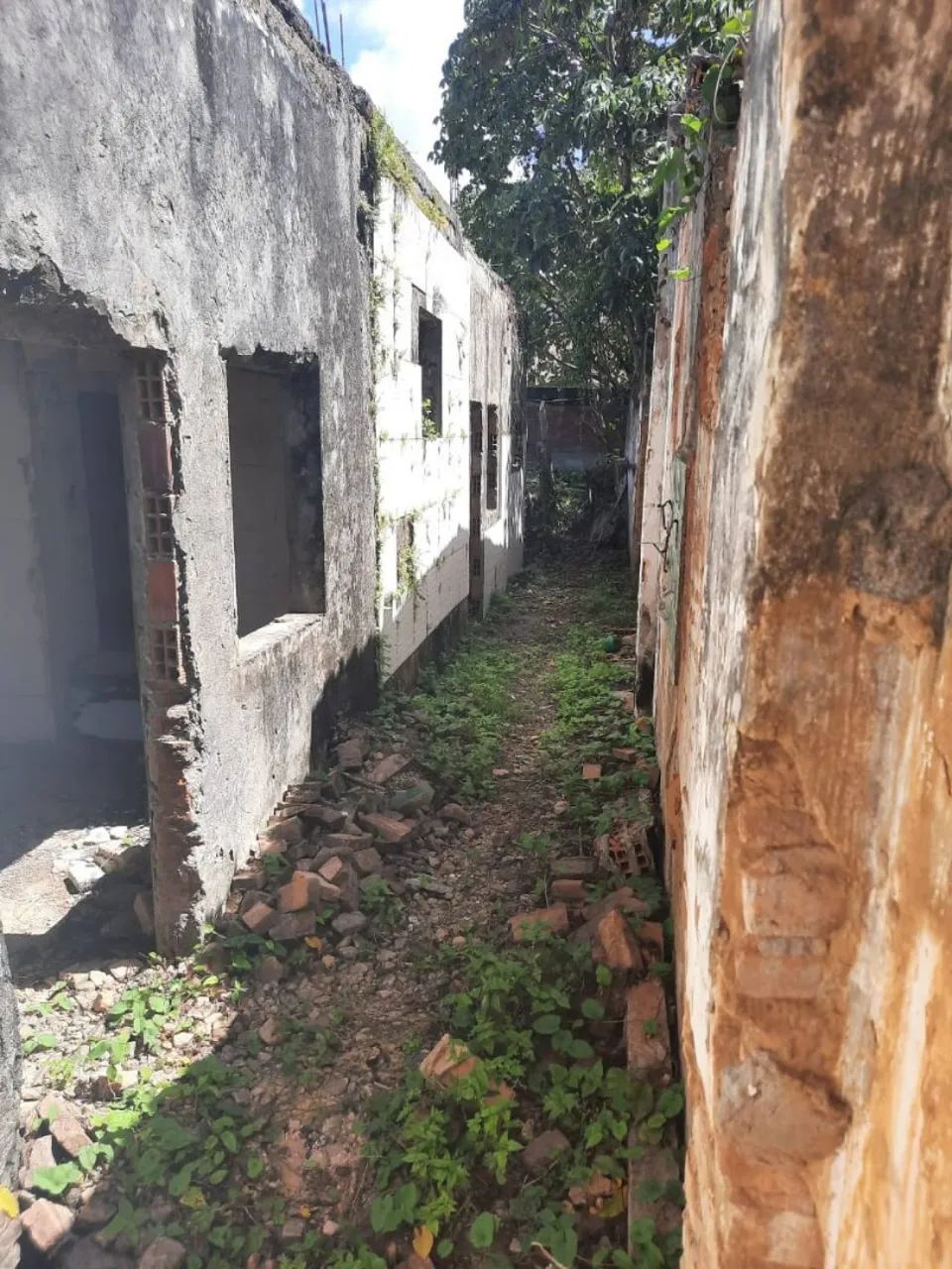 * Lote no centro 70586 - Foto 3