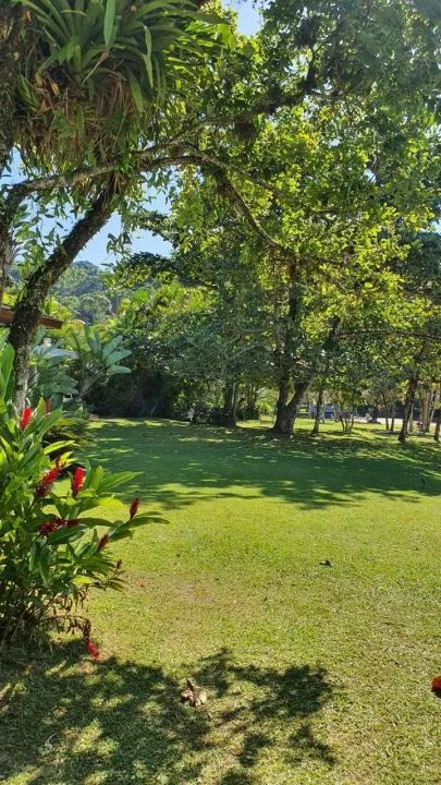 "Investimento Imbatível: 1000m² em Alumínio com Lago e Área Comercial!" - Foto 12