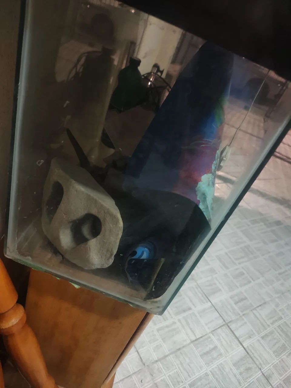 Aquário completo 180 litros pra retirar  - Foto 4