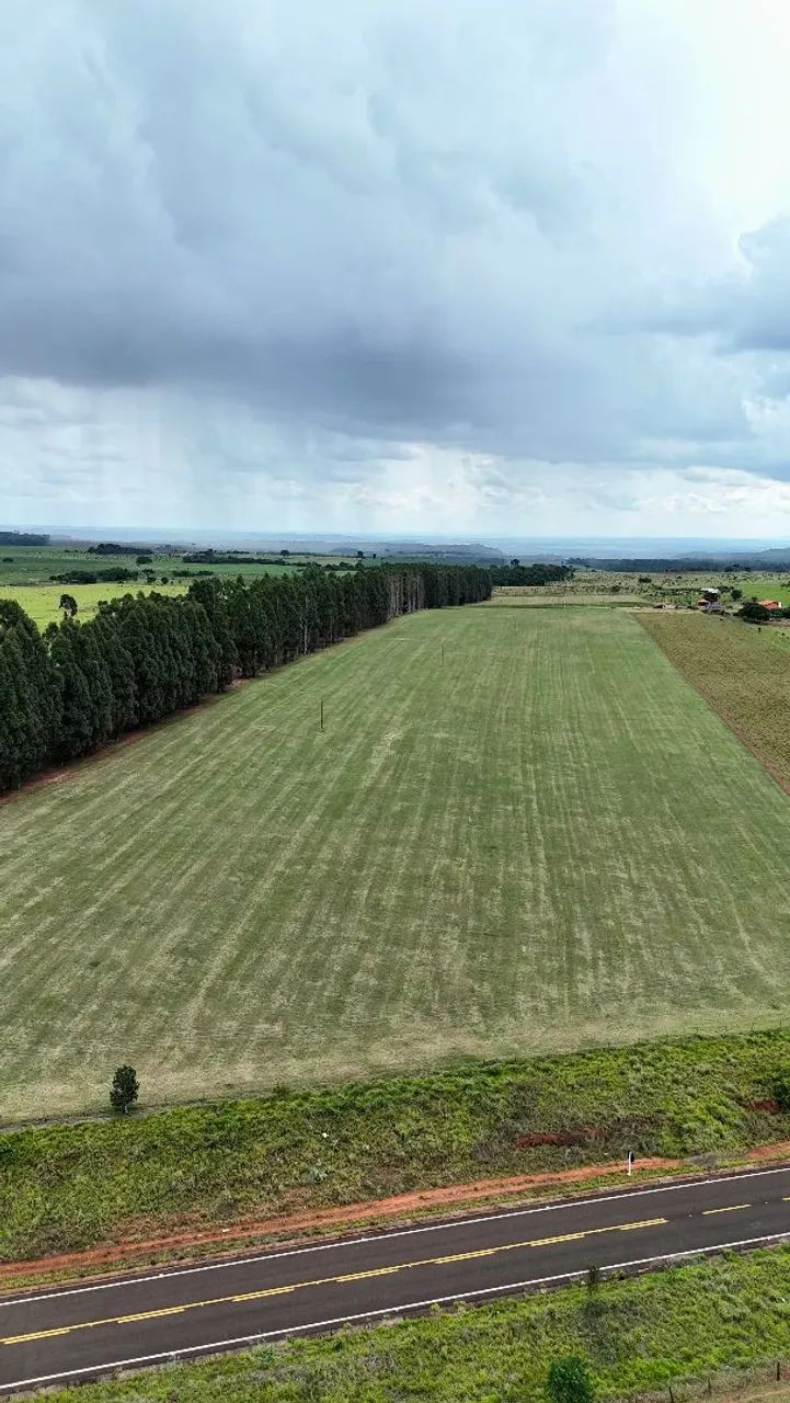 Chácara de 13 Hectares saída para Rochedinho! - Foto 4