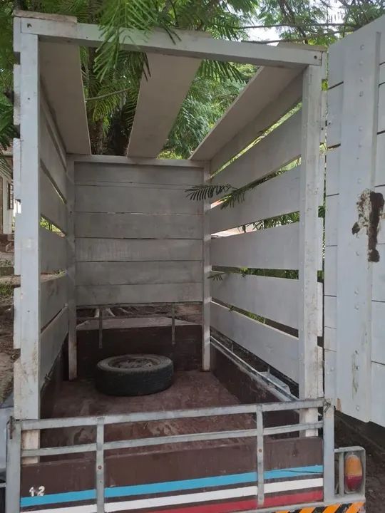 transporte de animais - Foto 2