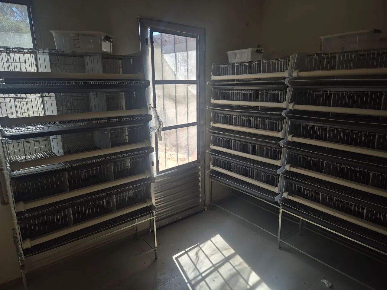 Bateria de Gaiolas para Codornas - Foto 2