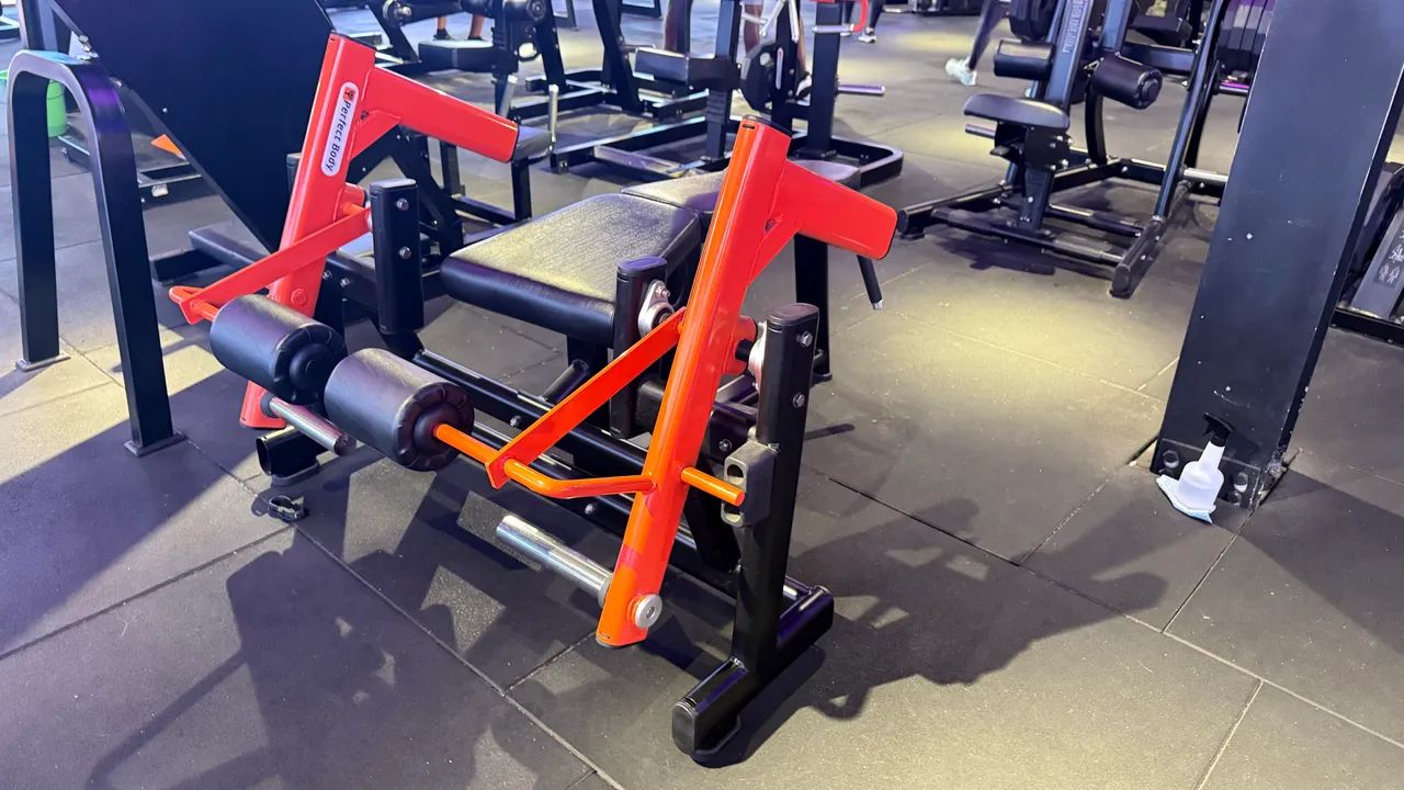 Mesa flexora de anilha Hammer 