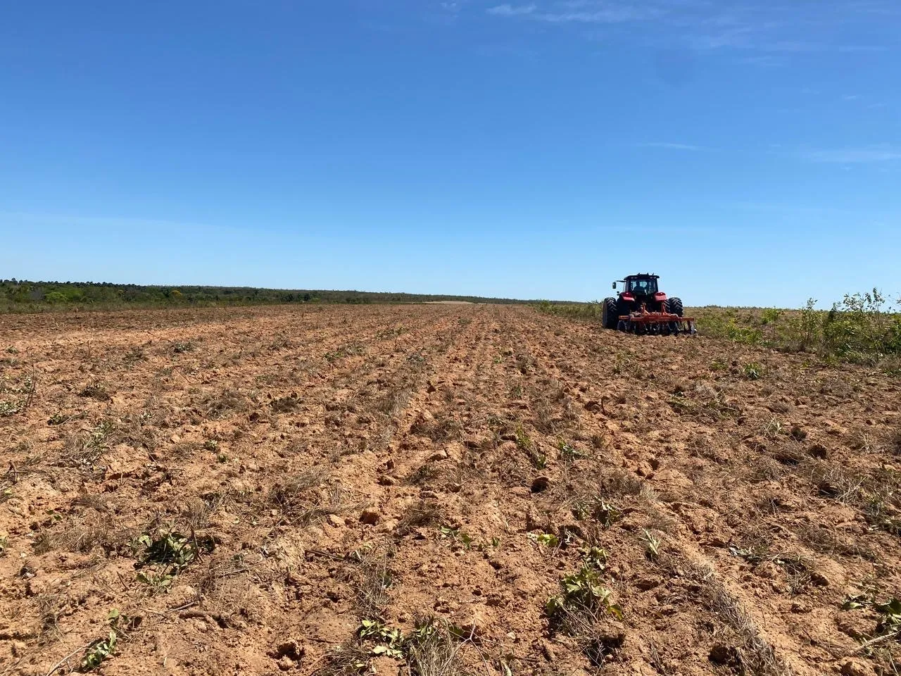 Arrendamento 870 hectares de Fazenda no Tocantins 130 km de palmas