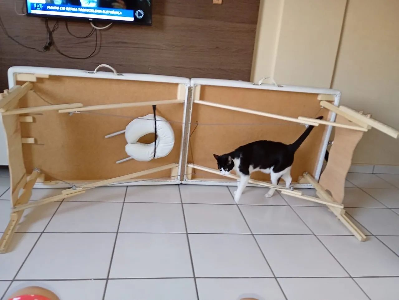 Para vender rápido!! Maca portátil LEGNO (Antares)  - Foto 2