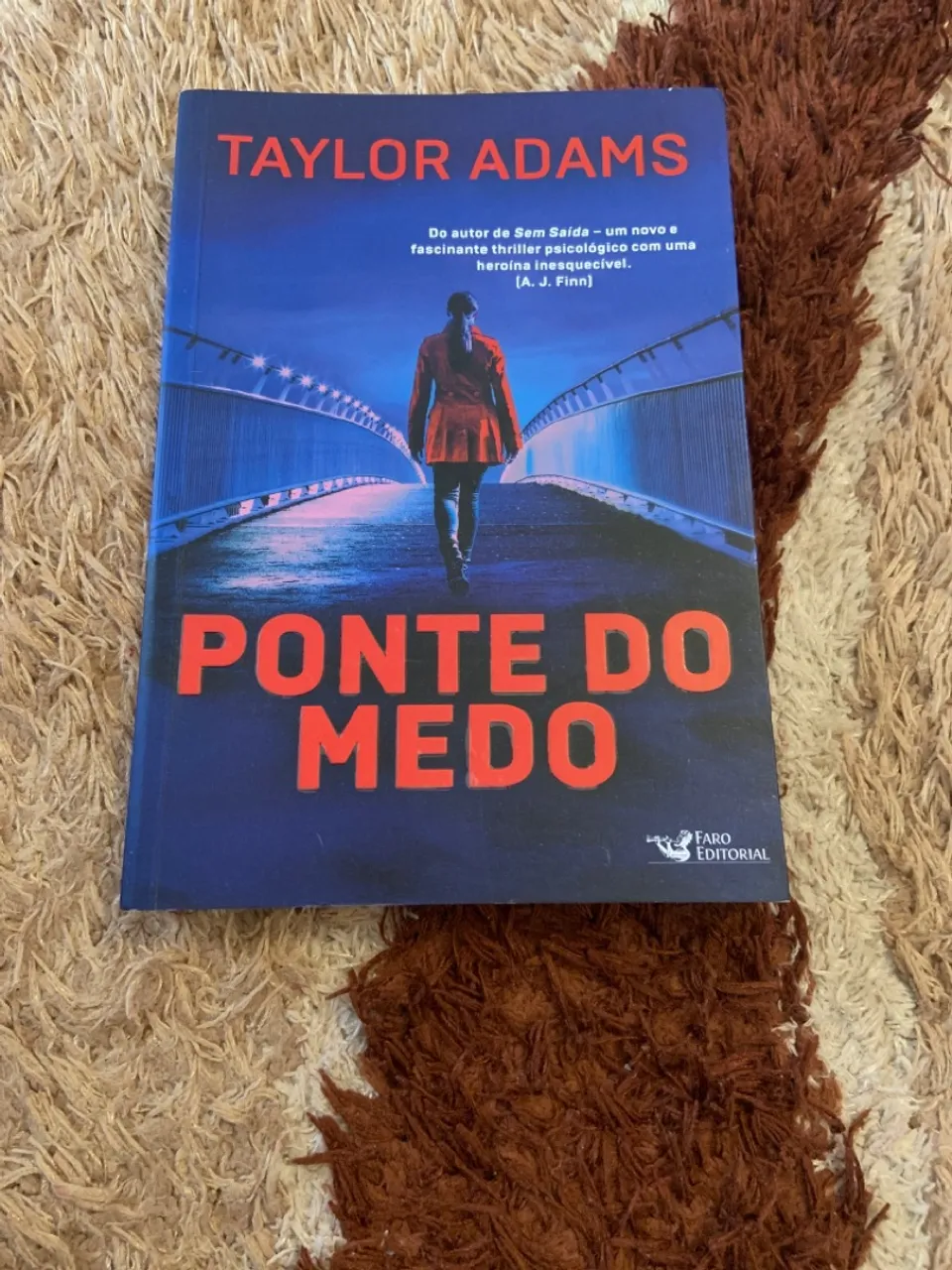 Livro de suspense ponte do medo