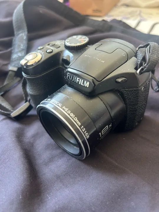 fuja fênix - Foto 4