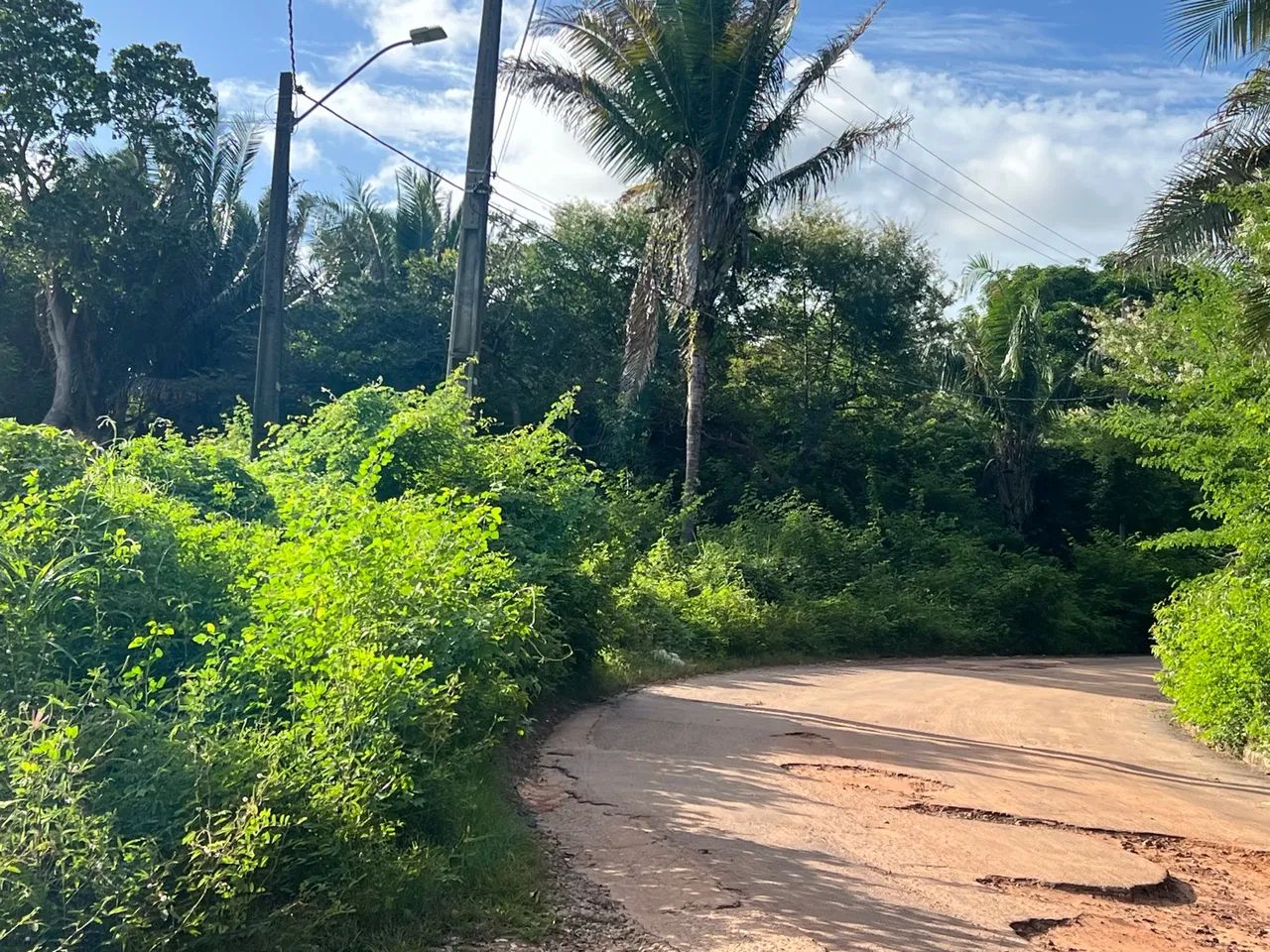 LINDO SÍTIO NO TIMBUBA - Foto 11