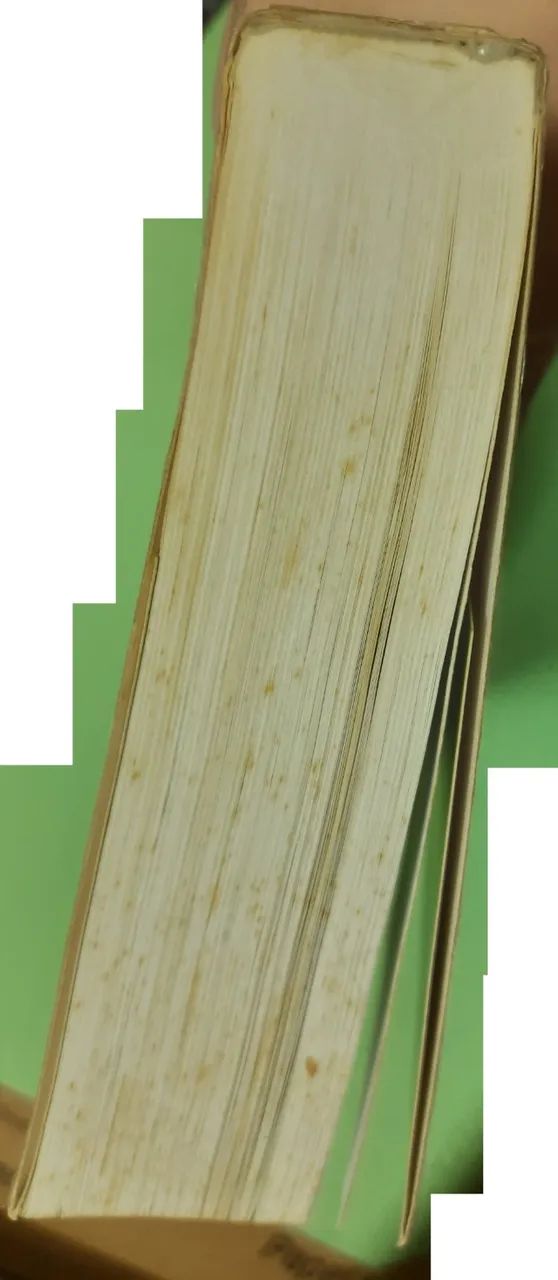 Casório - Foto 4