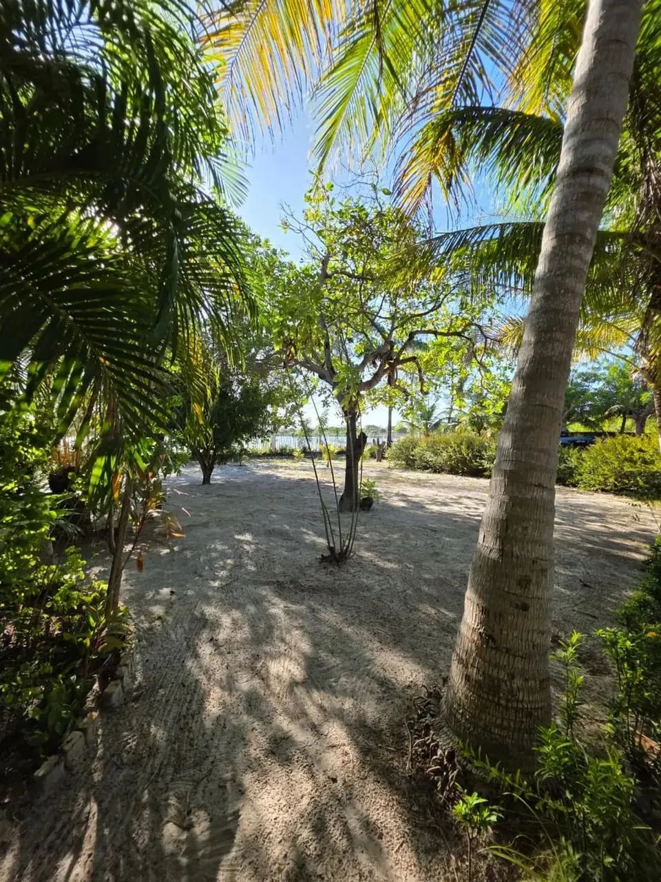 Sítio em Aquiraz com vista para o Lago - Foto 5