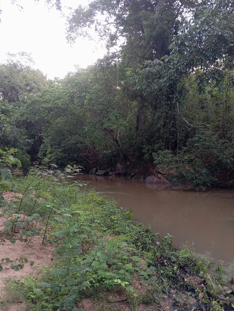 Chacara Rio Vermelho  - Foto 6