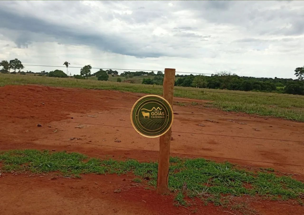 Foto - Novo Brasil - 