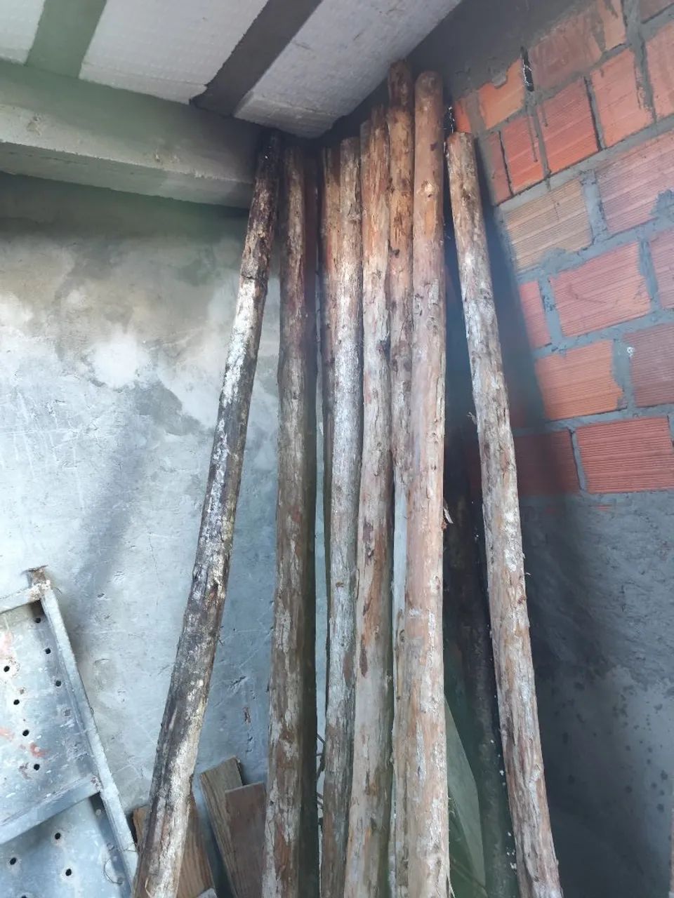 Ma 12 Madeiras de eucalipto para construção 2,80 Metros *ESCORAS* - Foto 3
