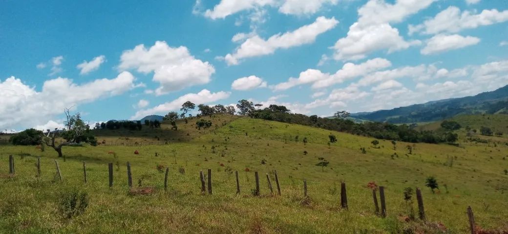 S201 - Sítio com 2,2 ha  - Foto 2