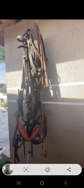 Charrete ... carrinho  aro 21 top guizera mais arreamento  - Foto 5