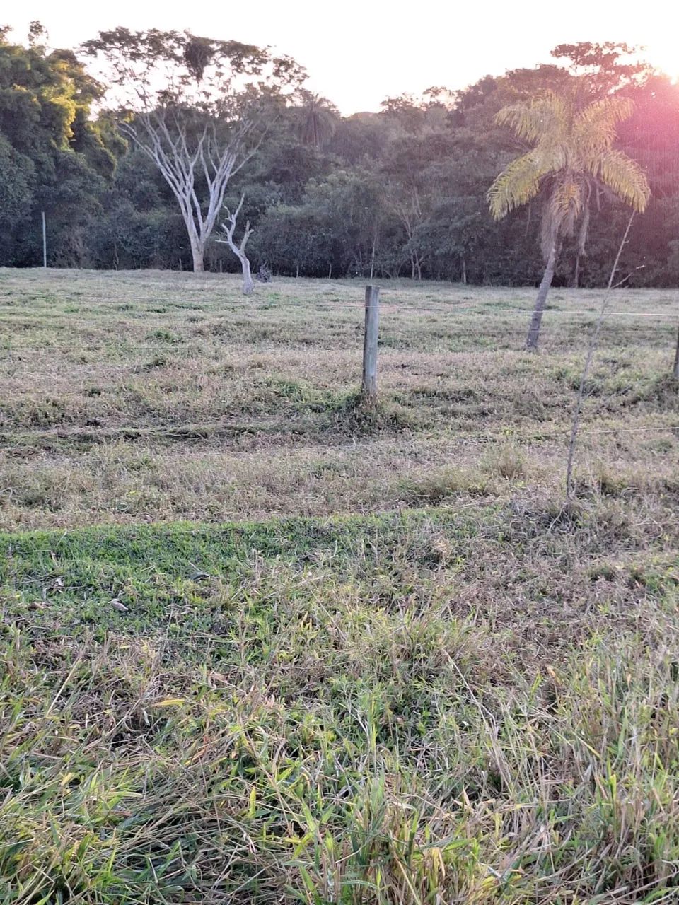 Fazenda no prata 3 milhões  - Foto 2