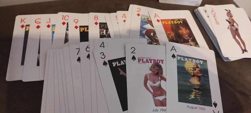 Baralhos: Playboy, Axe e Harry Potter - Foto 4