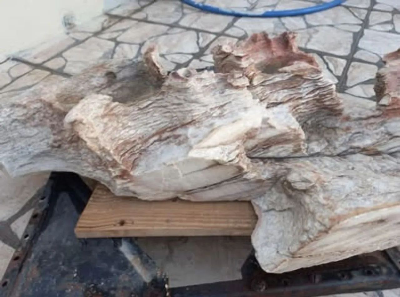  Pedra Natural decorativa  - Foto 6