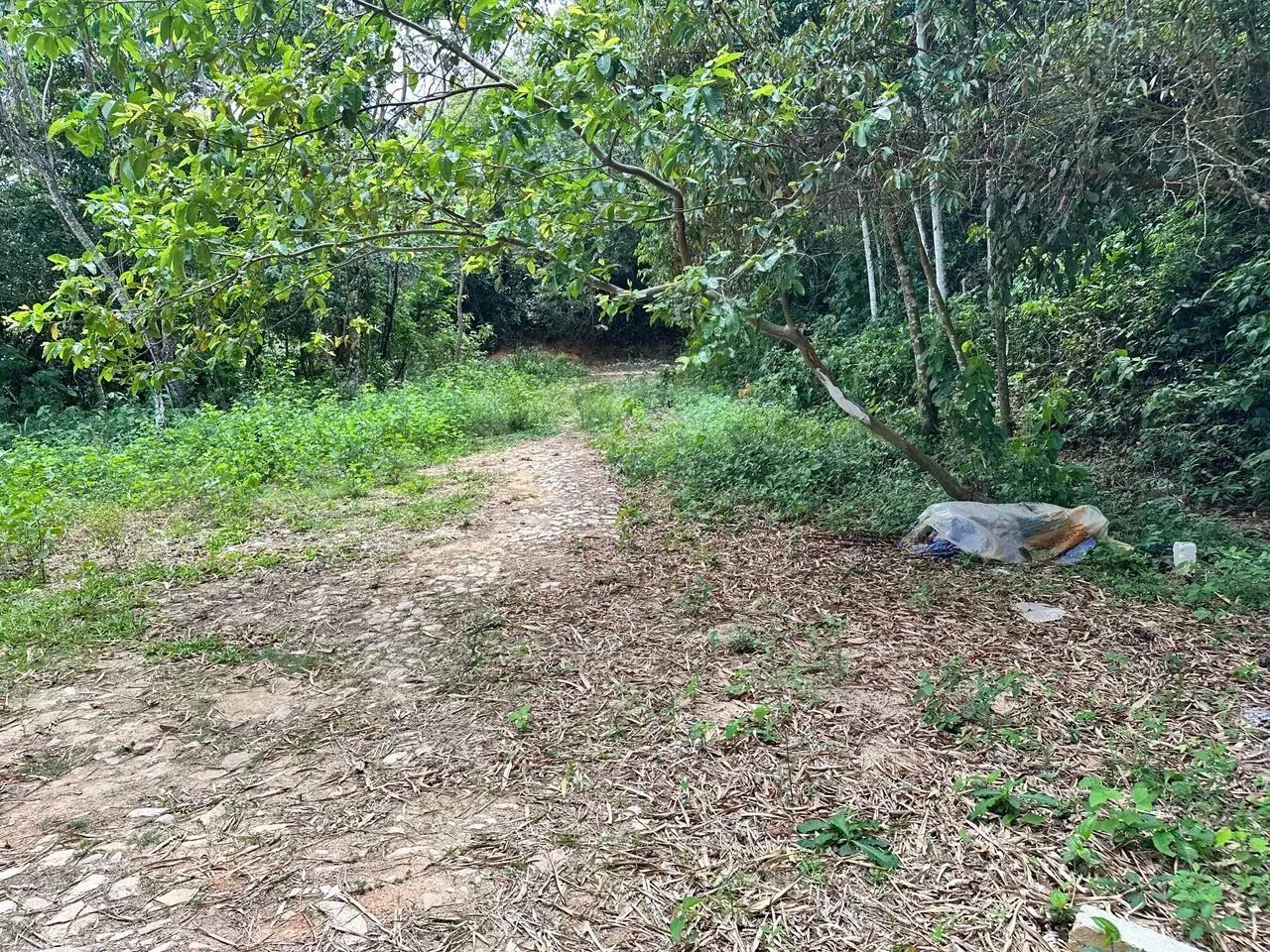 Imóvel para venda com 300 metros quadrados em Centro - Pacoti - CE - Foto 8