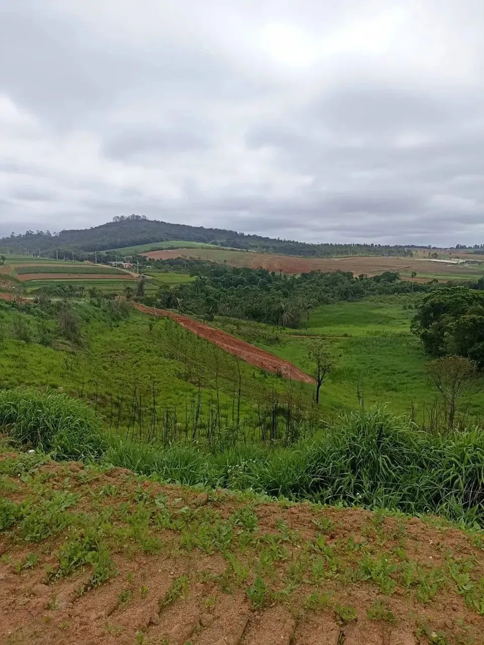 Imóvel para venda tem 600 metros quadrados em Centro - Cotia - SP - Foto 2