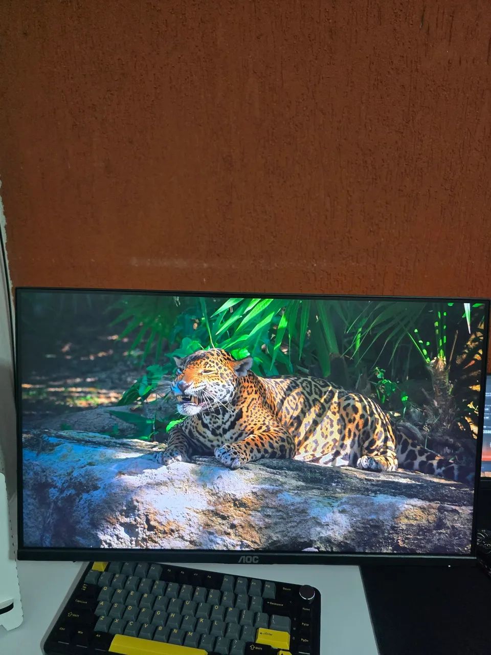 Monitor aoc 24 180hz