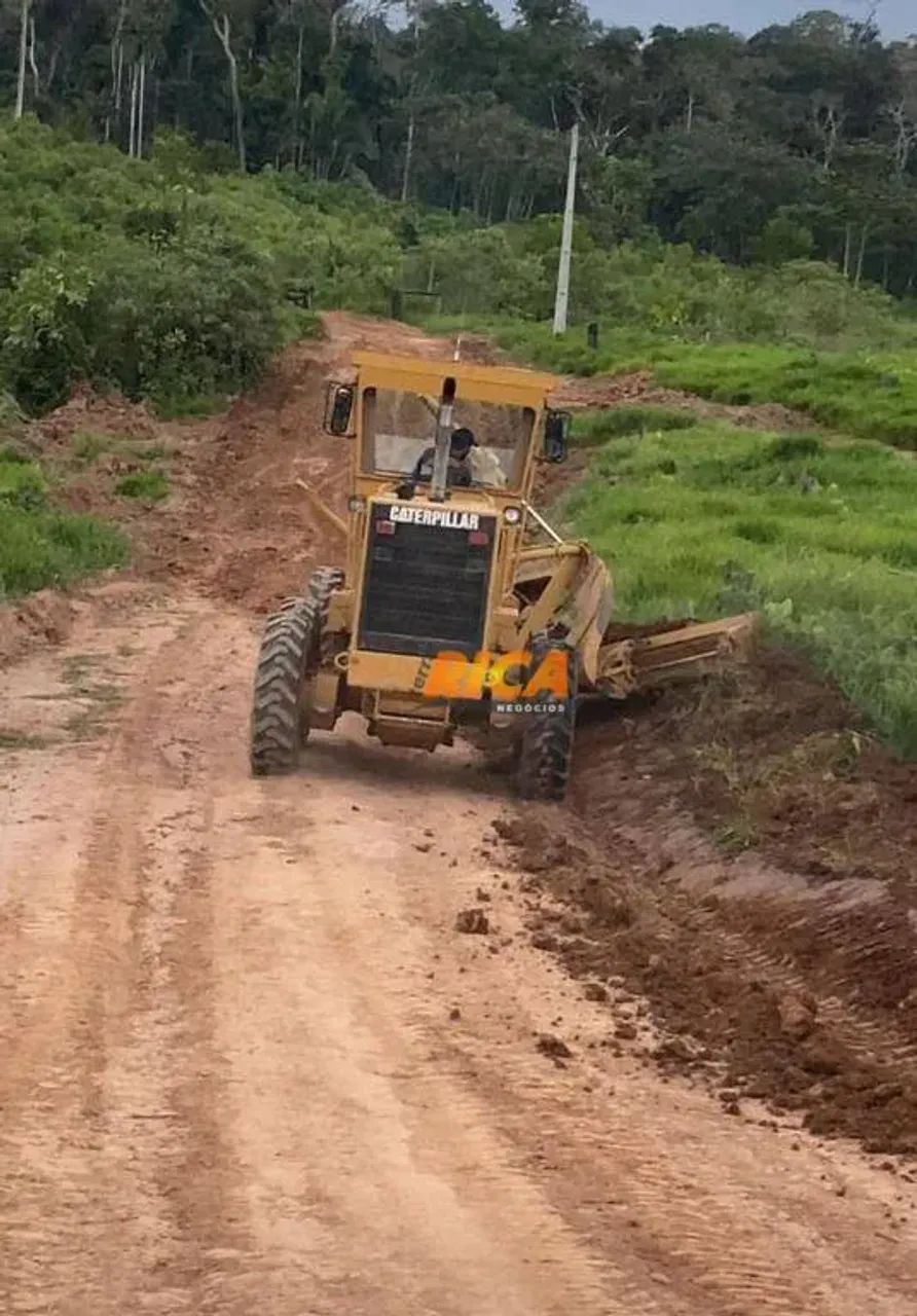 Fazenda para Manejo à venda em Feijó/AC - Foto 3