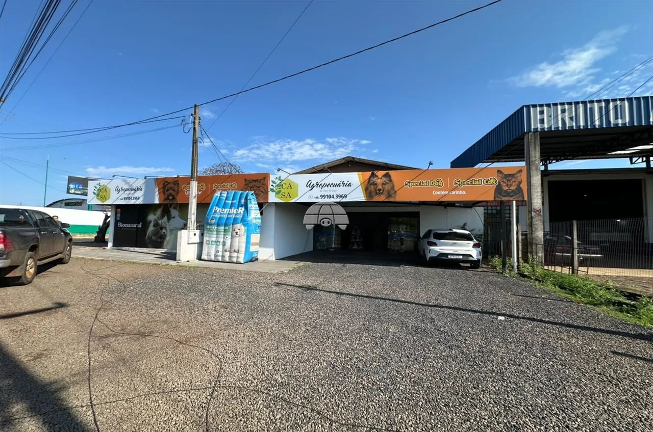 Vendas Barracão Pato Branco PR - Foto 4