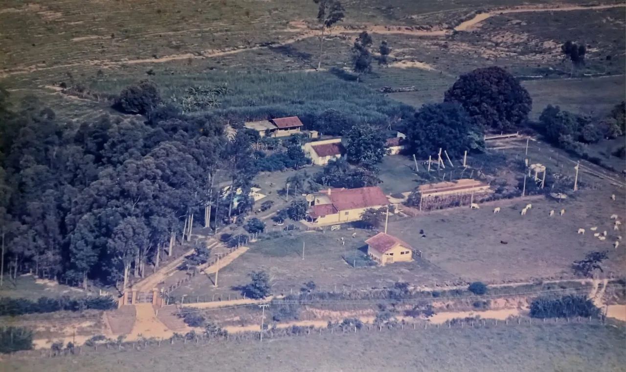 Foto - Americana - Conserva