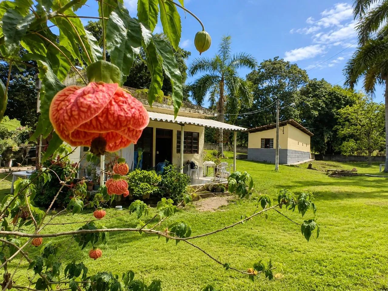 Sítio a venda em Tanguá  - Foto 3