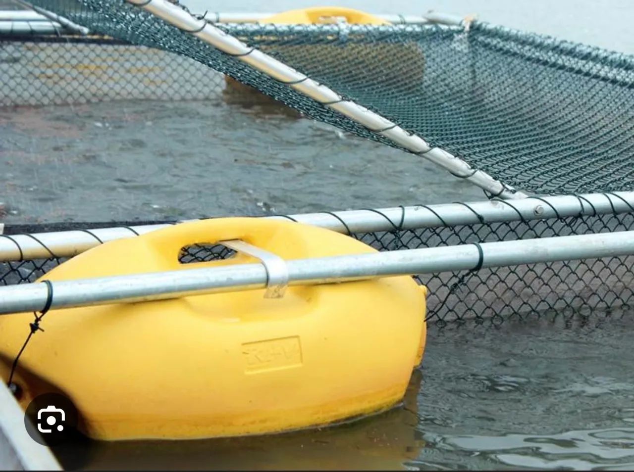Tanque rede para peixes