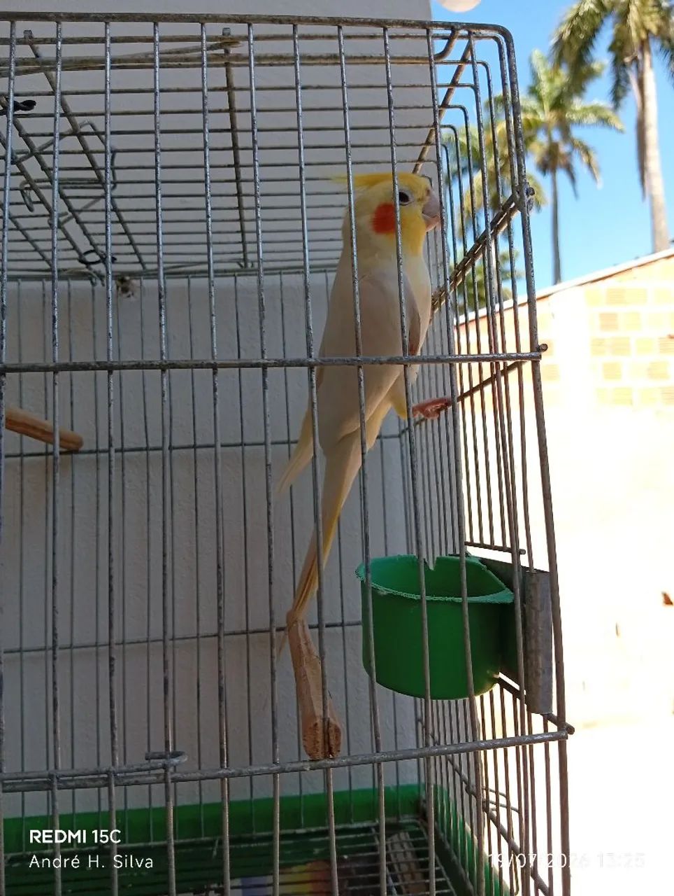 Gaiola  - Foto 3